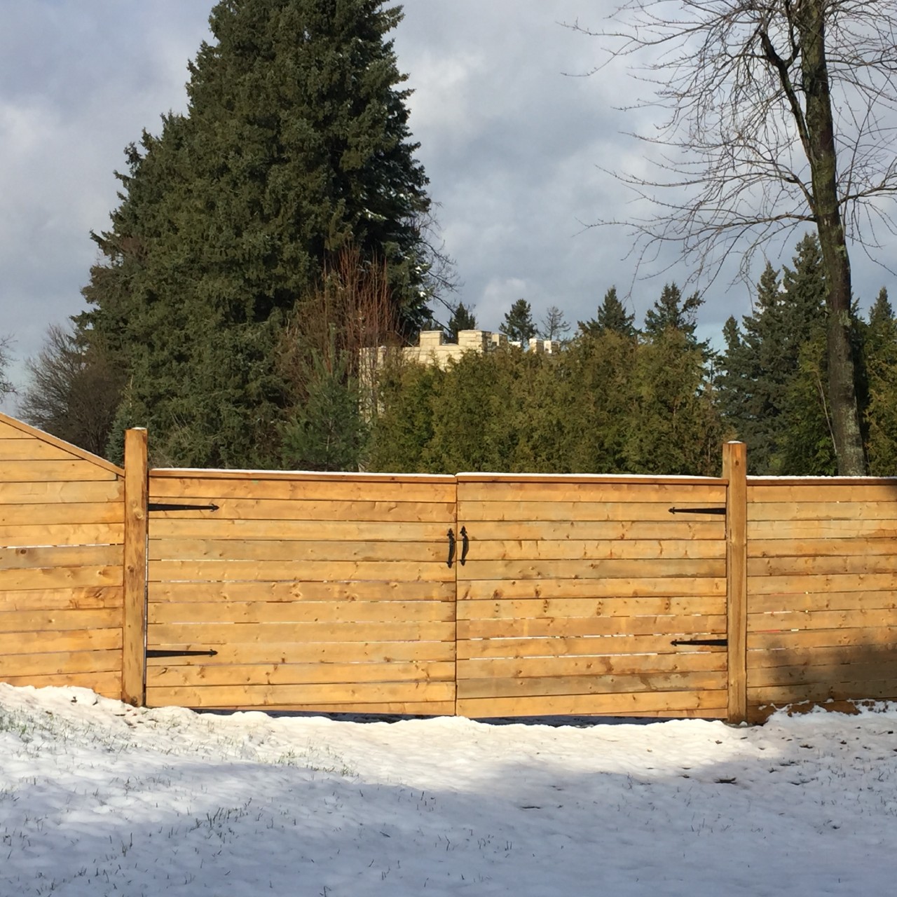 Custom Privacy Fence & Gate
